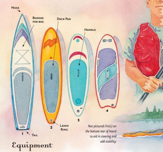 A watercolor illustration shows different paddleboard types. 