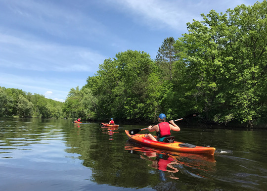 Three people paddle kayaks down a river surrounded by lush green trees. 