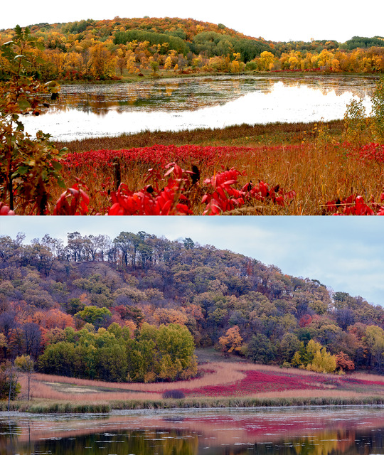 On the top is a landscape of vibrant fall foliage. On the bottom is the same landscape is earthier colors. 