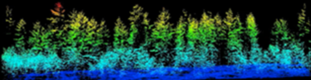 lidar point cloud example - see shapes of trees