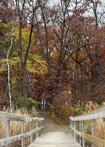 A dock leads to a brown leafy forest in fall. 