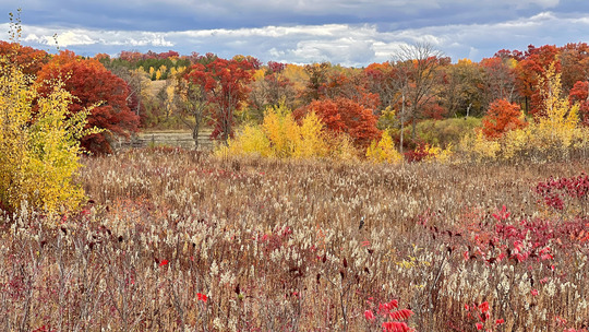 A blazing landscape of fall colors and prairie. 