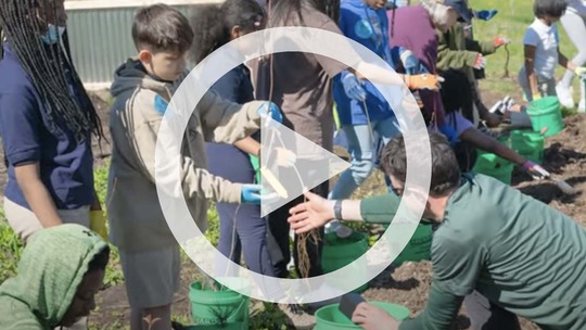 A screenshot of the video with a play icon superimposed on it