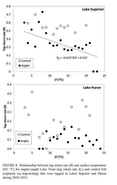 2 graphs showing the relationship between tag return rate and surface water temp for angler-caught Lake Trout in Lakes Superior and Huron.