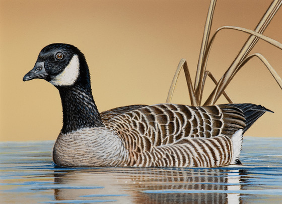 A painting of a cackling goose