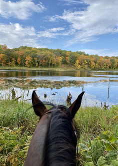 Looking out at a still fall lake through the ears of a dark horse. 