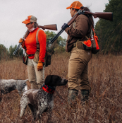 upland bird hunters with a dog