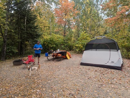 A person smiling stands in a campsite with a small dog and a tent. 