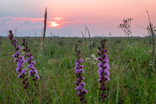 The sun sets at Butternut Valley Prairie SNA