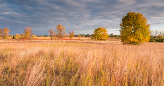 Fall Colors at Grey Cloud Dunes