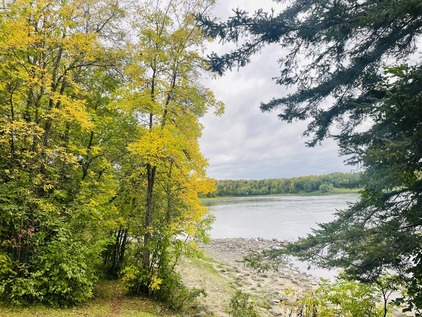 Lime green and yellow trees line the entrance to a calm grey lake. 