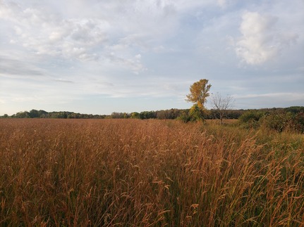 A glowing red prairie stretches into the horizon with a few small trees in the distance. 