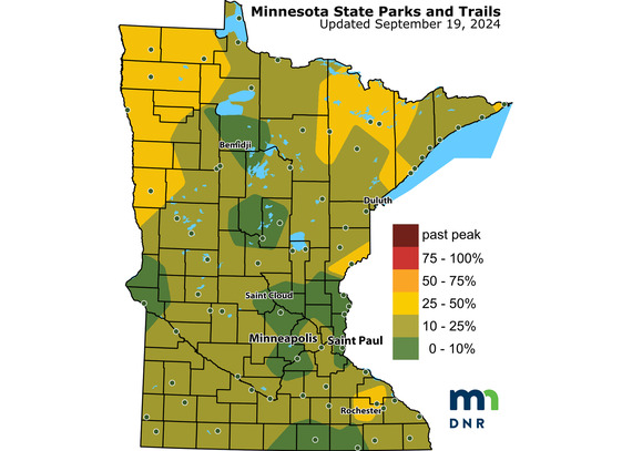 The Fall Color Finder Map shows most of the state in 10-25% color, a few pockets of 25-50% are emerging mainly in NW and NE Minnesota. 