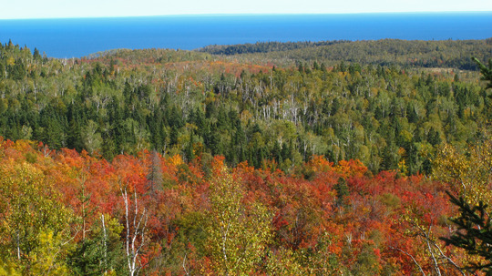 Overlooking a forest that is bright red and gold in the foreground and green near the horizon by Lake Superior. 