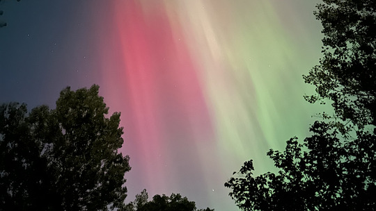 Pink and green northern lights in the sky at Maplewood State Park. 