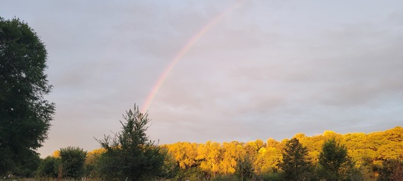 A rainbow arches above a lake and row of trees. 