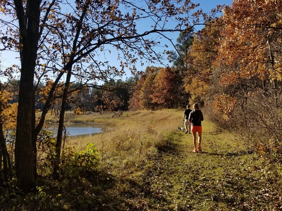 Two people walk a dog along a small pond in peak fall colors. 