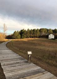 A wood boardwalk cuts through a prairie with pine trees and a historic white house in the distance. 