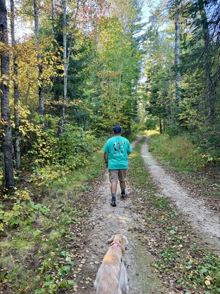 A person walks through a fall forest followed by a yellow dog. 