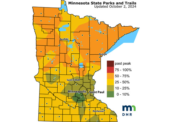 Fall color in northern Minnesota is mostly 50%. In central and southern MN, it's 20-25%. 