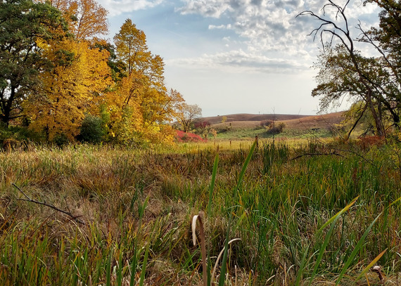 A rolling prairie stretches to the horizon with golden trees and red sumac on the hills. 