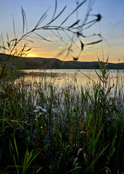 A calm lake is surrounded by rolling hills and tall grasses at sunset. 