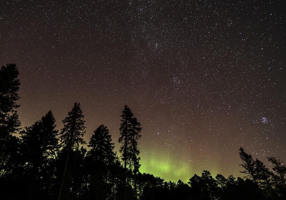 Green northern lights dance in the night sky. 