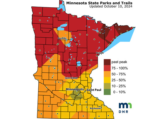 The Fall Color Finder Map shows 75-100% for most of Northern MN. Southern MN is 25-75% with a pocket of low percentage around the Twin Cities. 