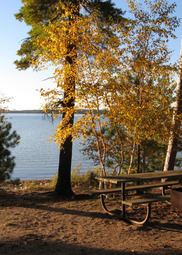 A picnic table by the lake during fall. 