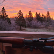 view from a deer stand at sunrise