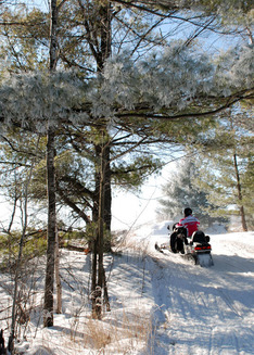 A person rides a snowmobile up over a snowy hill in a frosty forest. 