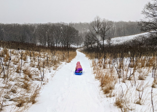 A child slides on a sled down a snowy path through a grassy area leading to a forest. 