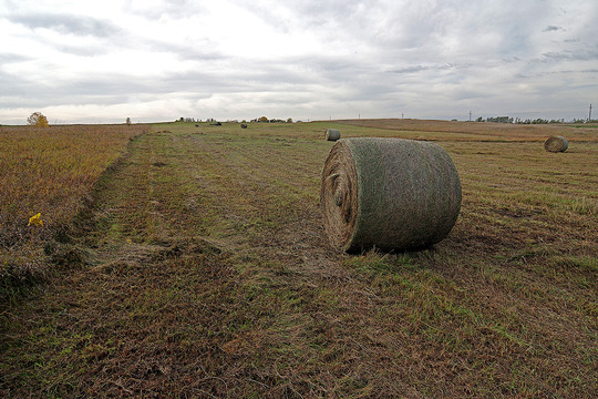 Fall Hay Bales Mound Spring