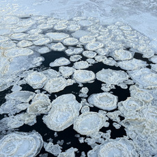 On the top of a lake, ice floats in rounds circles. 