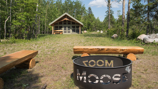 A fire ring and shelter are grouped together in a cleared area surrounded by tall pine trees.