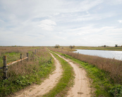 dirt track road in Keystone Woods WMA with lake, grass and some fences