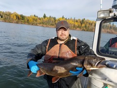 Fisheries technician holding a large Lake Trout.