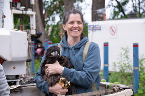 A woman holding an eagle chick, smiling