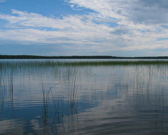 Looking out towards Siseebakwet Lake from the shores of Boltuck-Rice Forever Wild SNA. Photo by MN DNR.