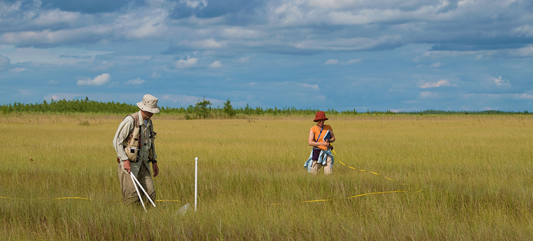 Researchers on a peatland SNA