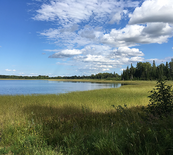 a wild rice lake