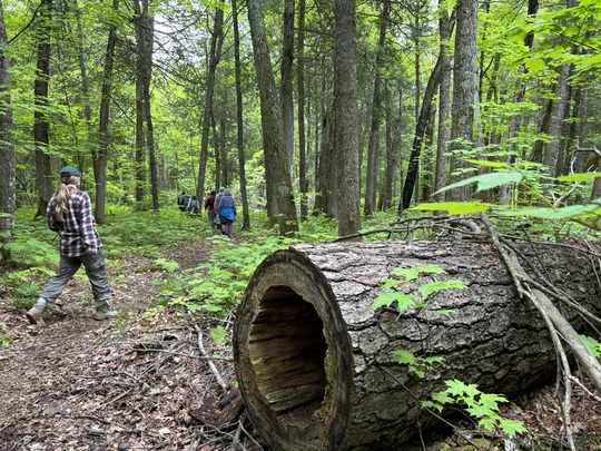 Storm cleanup at Tettegouche State Park