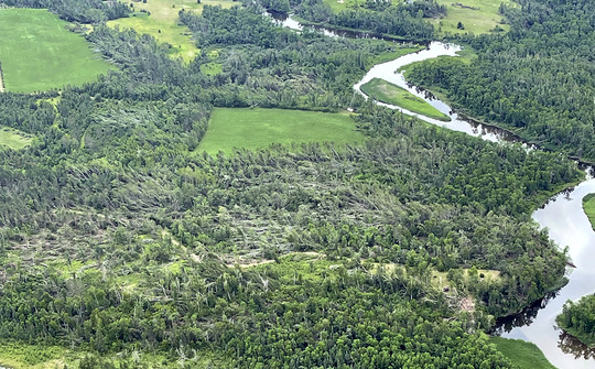 An aerial image shows a forested area with many trees blown down.