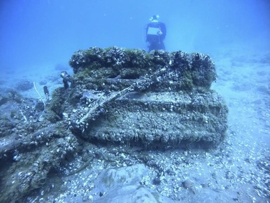 Picture showing a shipwreck covered in Zebra Mussels.