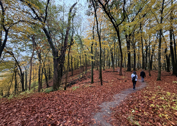 Two people hike into a colorful fall forest. 