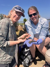Nongame staff holding mudpuppies captured during a snorkeling survey.