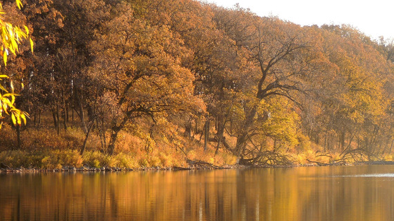A calm lake reflects a dark golden and brown shoreline of trees on a cloudy fall day.