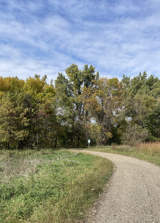 A paved path winds into a stand of trees that are turning yellow on a sunny day.