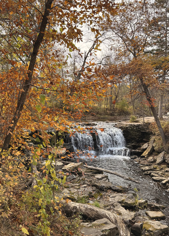 A small waterfall surrounded by burnt orange and golden trees in the fall. 