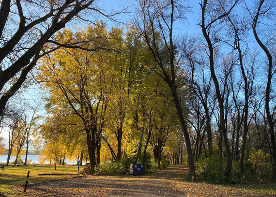 A picnic area leads out to a calm lake on a fall day.